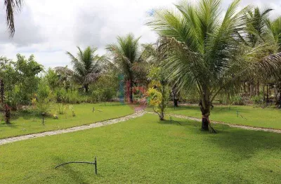 Vendo fazenda com pousada, restaurante e produção agroflorestal – una/ba