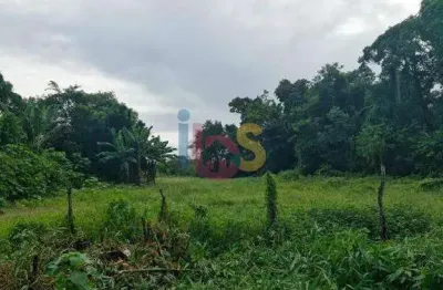 Terreno à venda na ba 262 km 8, área rural de ilhéus, ilhéus por r$ 300.000