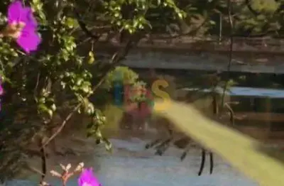 Chácara / sítio com 7 quartos à venda na Rodovia Ilhéus-Uruçuca, Área Rural de Ilhéus, Ilhéus