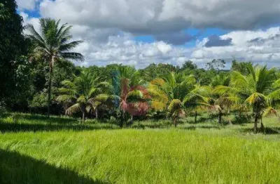 Chácara / sítio com 3 quartos à venda na Rua Piaçava, Olivença, Ilhéus