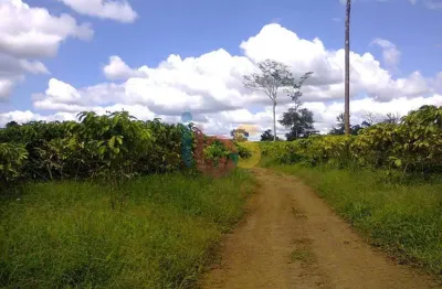 Chácara / sítio à venda na Fazenda Jueirana Ll, Zona Rural, Una