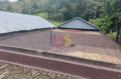 Chácara / sítio com 4 quartos à venda na Rua Centro, Centro, Itajuípe