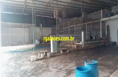 Barracão / galpão / depósito com 4 salas para alugar na avenida presidente lincoln, 3244, jardim meriti, são joão de meriti por r$ 20.000
