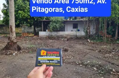 Terreno comercial à venda na avenida demétrio ribeiro, figueira, duque de caxias por r$ 350.000