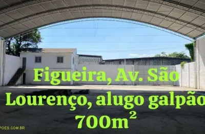 Barracão / galpão / depósito com 2 salas para alugar na avenida são lourenço, 123, figueira, duque de caxias por r$ 10.000