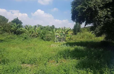 Terreno à venda, 3916 m² por r$ 230.000,00 - centro (sambaetiba) - itaboraí/rj