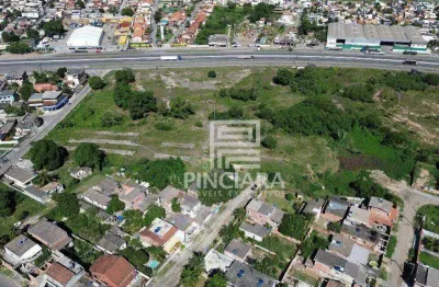 Terreno de 30.000 m² - venda por r$ 18.000.000 ou aluguel por r$ 150.000/mês - manilha - itaboraí/rj