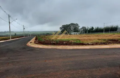Terreno à venda na Avenida Francisco Falvo, Residencial Samambaia, São Carlos
