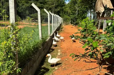 Vende-se linda chácara em itanhaém – bairro jardim aguapeú!