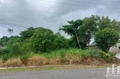 Terreno à venda na Avenida São Paulo, Balneário Monte Carlo, Ilha Comprida