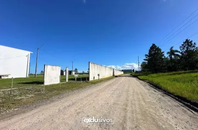 Terreno área para loteamento industrial ou residencial em porto grande, araquari/sc