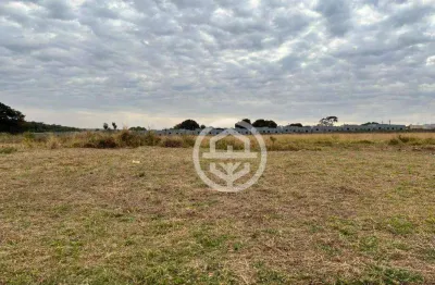 Terreno à venda, 200 m² por r$ 95.000,00 - jardim maria caputi - barretos/sp