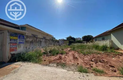 Terreno à venda no Centro, Barretos 