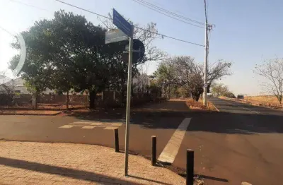 Oportunidade imperdível: área comercial à beira da rodovia!