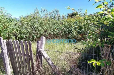Terreno à venda, 524 m² por r$ 420.000,00 - são joão do rio vermelho - florianópolis/sc