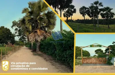 Chácara / sítio com 1 quarto à venda na distrito do cedro, s/n, zona rural, são gonçalo dos campos, 20000 m2 por r$ 332.000