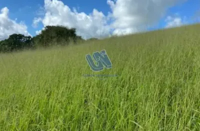 Fazenda à venda na Praça Presidente Médice, S/n, Centro, Pedrão