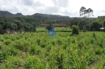 Fazenda à venda na Avenida Eronildes Soares Bonfim 148 Lote 02 Quadra 10, S/N, Centro, Araçás