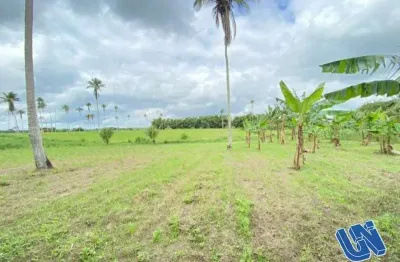 Fazenda com 1 sala à venda na Zona Rural, S/N, Zona Rural, Amélia Rodrigues
