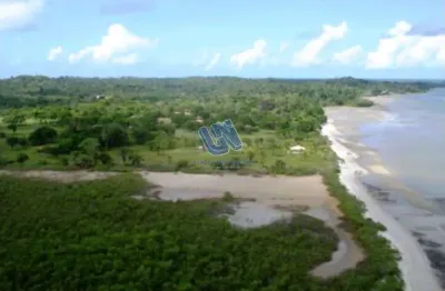 Fazenda com 189 hectares  frente praia deserta em itaparica - bahia