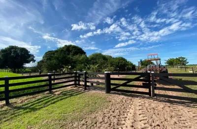 Fazenda com 1 sala à venda na b r 070, 3, zona rural, cuiabá por r$ 25.000.000