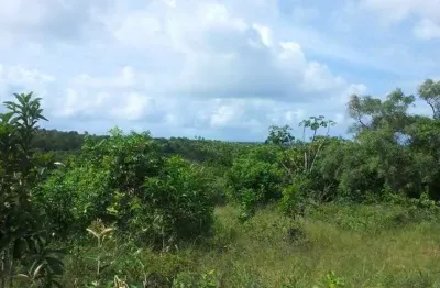 Terreno à venda na Açu Da Torre, Açu da Torre, Mata de São João