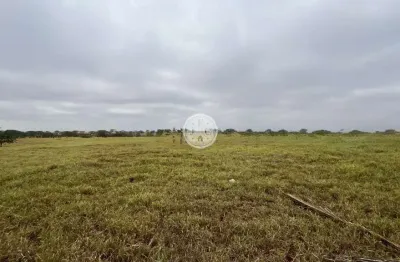 Terreno à venda no avelino alves palma, ribeirão preto  por r$ 64.000.000