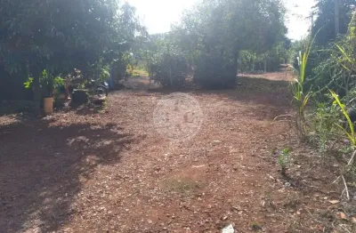 Terreno em condomínio fechado à venda em Quinta da Alvorada, Ribeirão Preto 