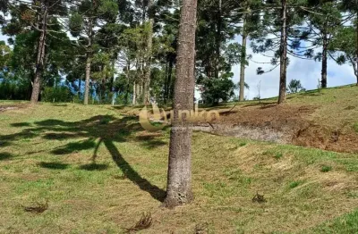 Chácara / sítio com 4 quartos à venda na Estrada Vereador Júlio Ferreira Filho, 2800, Cacaiguera, Campina Grande do Sul
