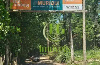 Terreno à venda, 2270 m² por r$ 120.000 - muriqui - niterói/rj