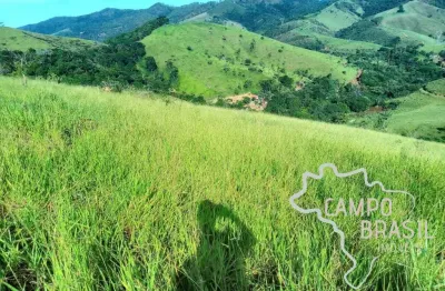 Chácara / sítio à venda na Estrada Principal, Centro, Monteiro Lobato