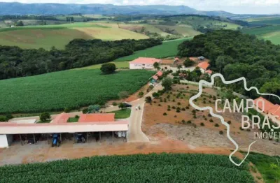 Fazenda 70.66 alqueires com belíssima estrutura para pecuária e lavoura !