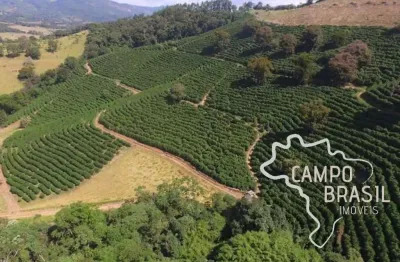 Fazenda com 1 sala à venda na Estrada Principal, Zona Rural, Cambuquira