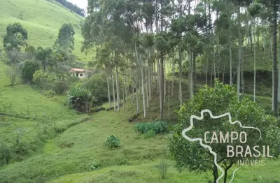 Chácara / sítio com 2 quartos à venda na Estrada Principal, Zona Rural, Paraibuna