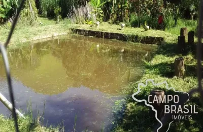 Chácara / sítio com 5 quartos à venda na Estrada Principal, Centro, Monteiro Lobato