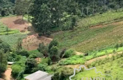 Fazenda com 30 alqueires em silveiras /sp com certificação orgânica ecocert na produção de  óleos essenciais!