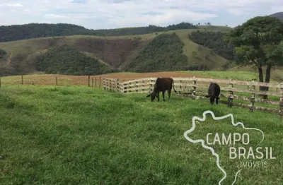 Fazenda à venda na Estrada Principal, Zona Rural, Caxambu