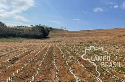 Fazenda 250 hectares de  criação de zebuíno, nelore mocho, puro de origem (po), porteira fechada no sul de minas gerais!