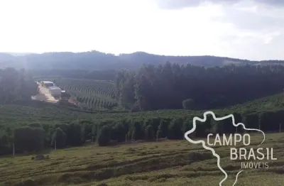 Fazenda 290 alqueires no sul de minas com estrutura completa!