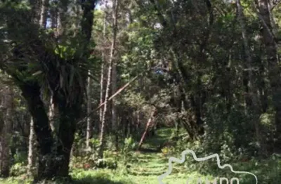 Terreno à venda na Estrada Principal, Zona Rural, Sapucaí-Mirim