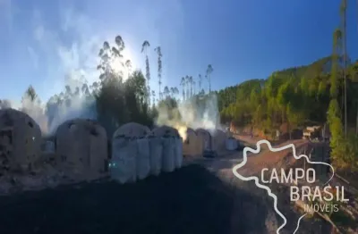 Fazenda 165 hectares em carvalhos com potencial turístico e carvoeiro!