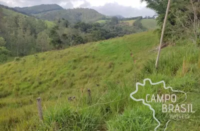 Ótima área 50.000m² em jambeiro, no asfalto, ideal para indústria