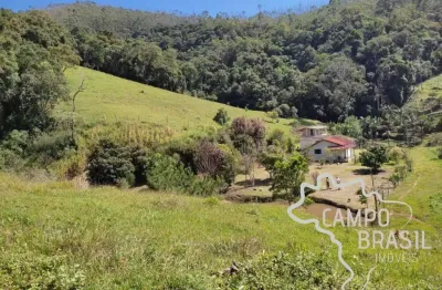 Fazenda 60 alqueires com plantação de eucalipto em salesópolis!