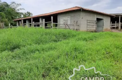 Sítio em caçapava 5 alqueires com ótima topografia!
