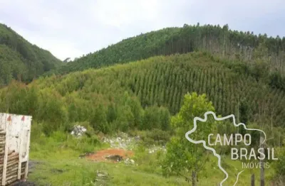 Fazenda 32 alqueires com plantação de eucalipto em paraibuna!
