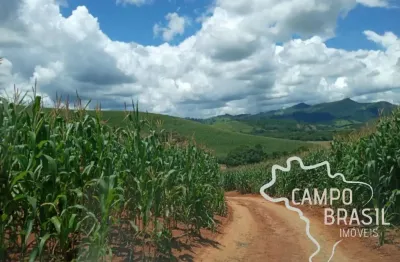 Fazenda 178 hectares no sul de minas com potencial para cultura a 4 km do asfalto!