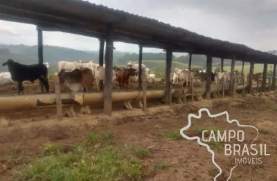 Fazenda com 1 sala à venda na centro, centro, tremembé por r$ 10.000.000