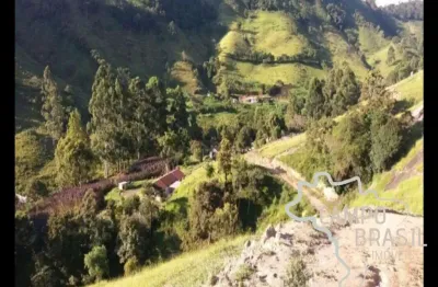 Chácara / sítio com 4 quartos à venda na Estrada Principal, Centro, São Luiz do Paraitinga