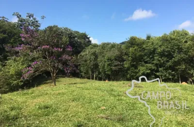 Excelente área rural de 6 alqueires! para construir seu sítio dos sonhos!