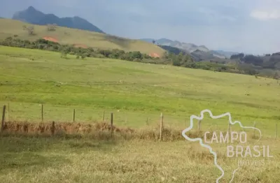 Fazenda à venda na Estrada Principal, Área Rural de Itajubá, Itajubá